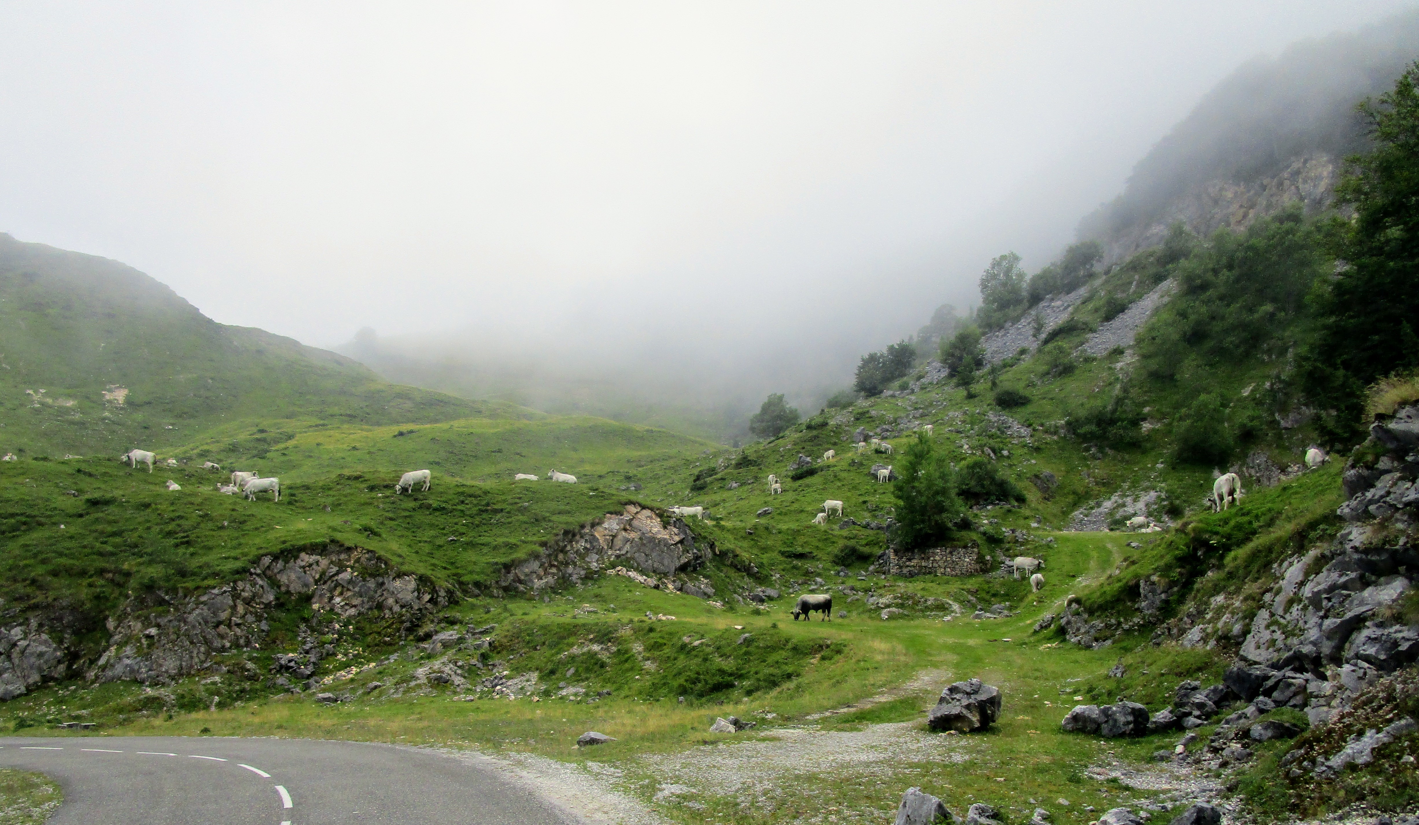 Col de la Trappe