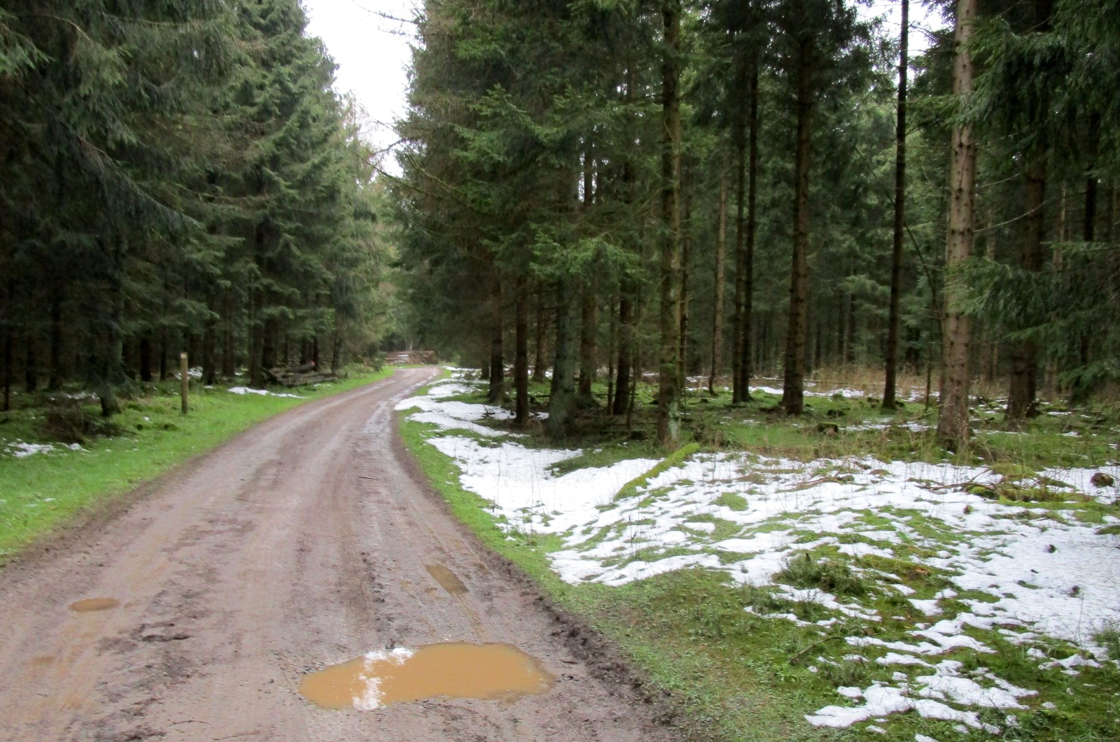 Schönberg