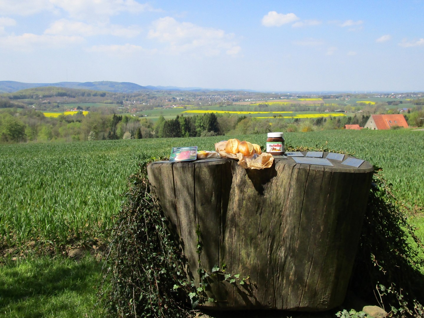 Picknick