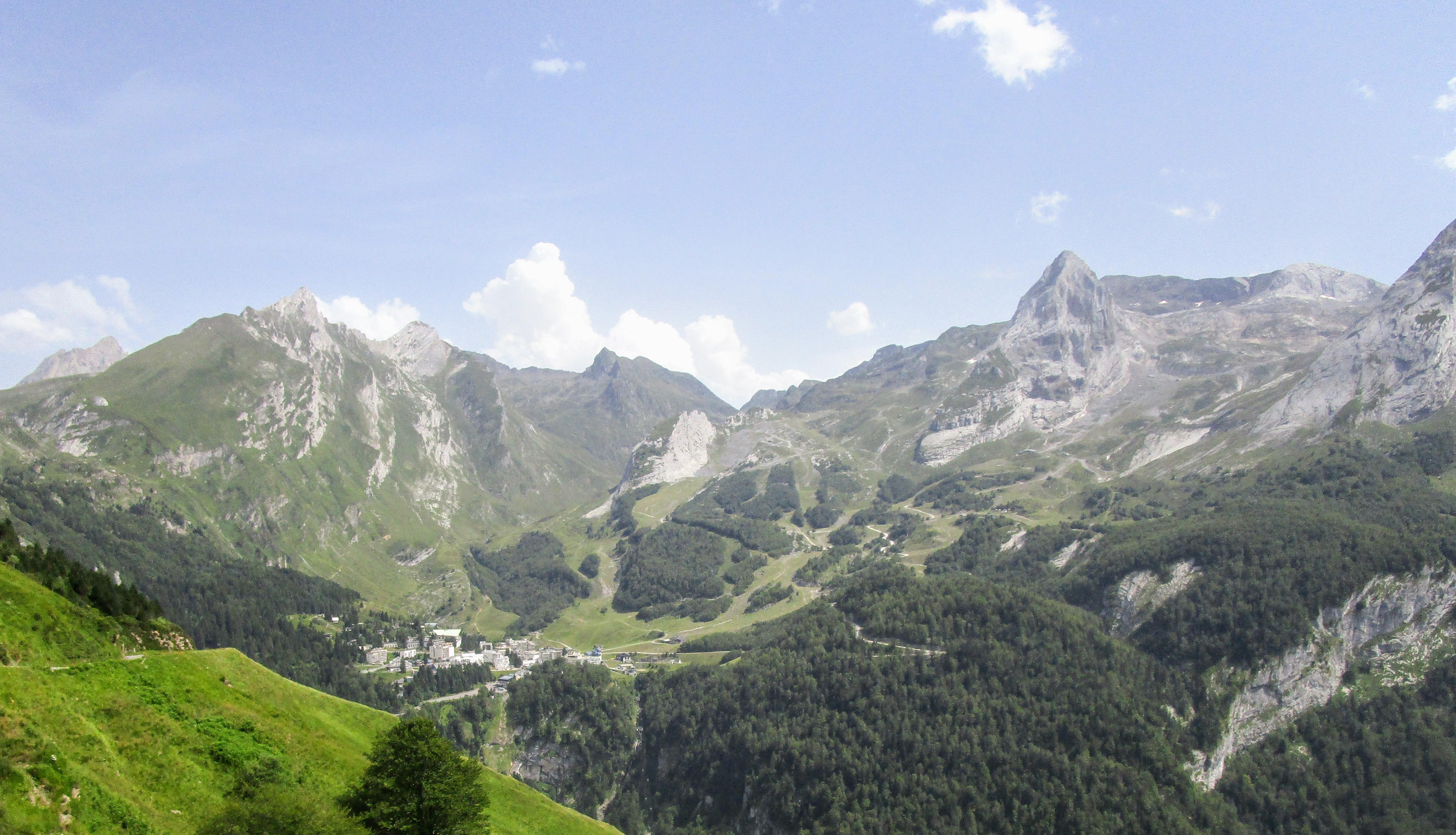 Pyreneeen