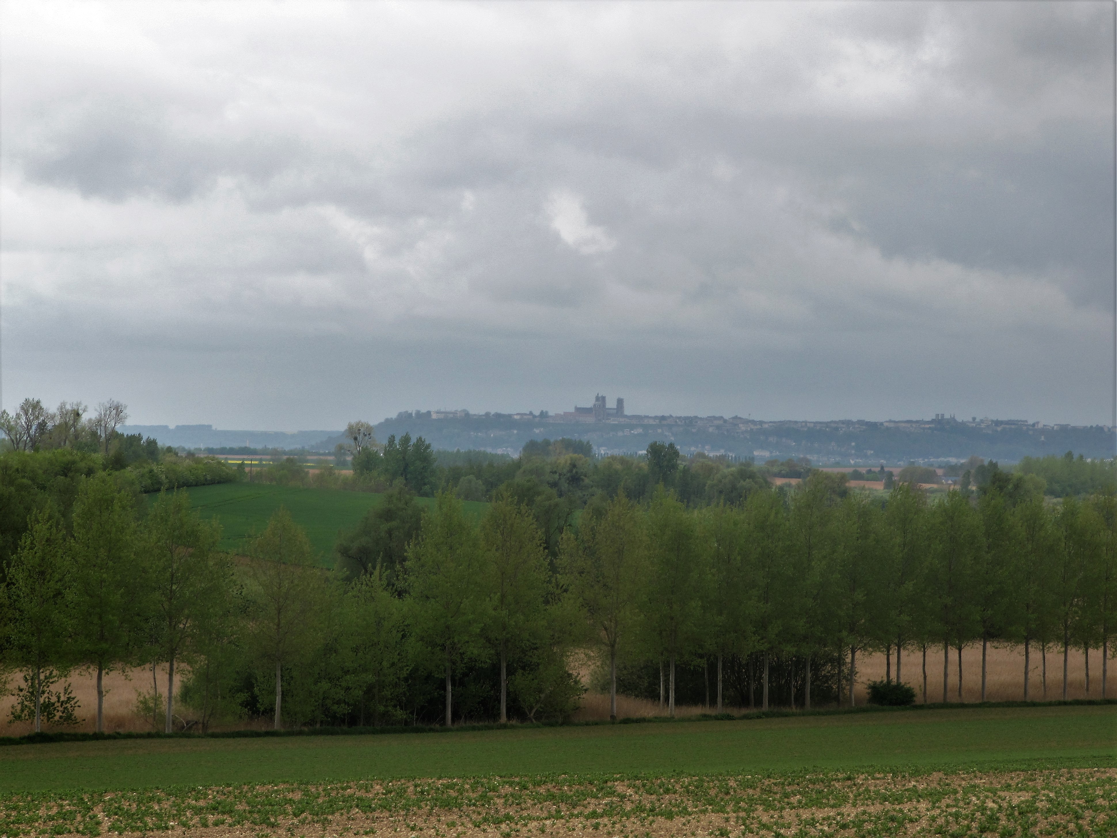 De kathedraal van Laon in de verte