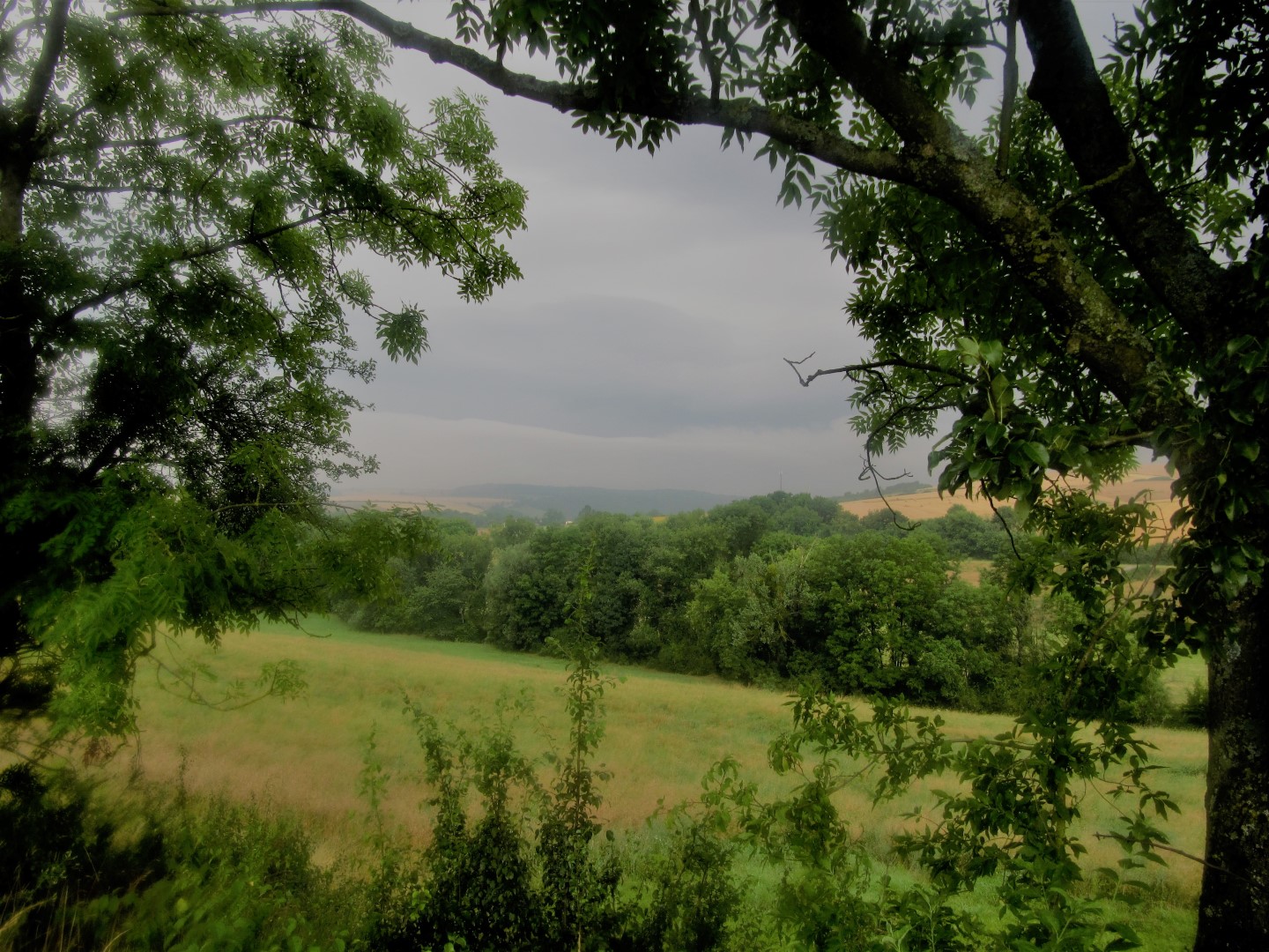 Lotharingen in de regen