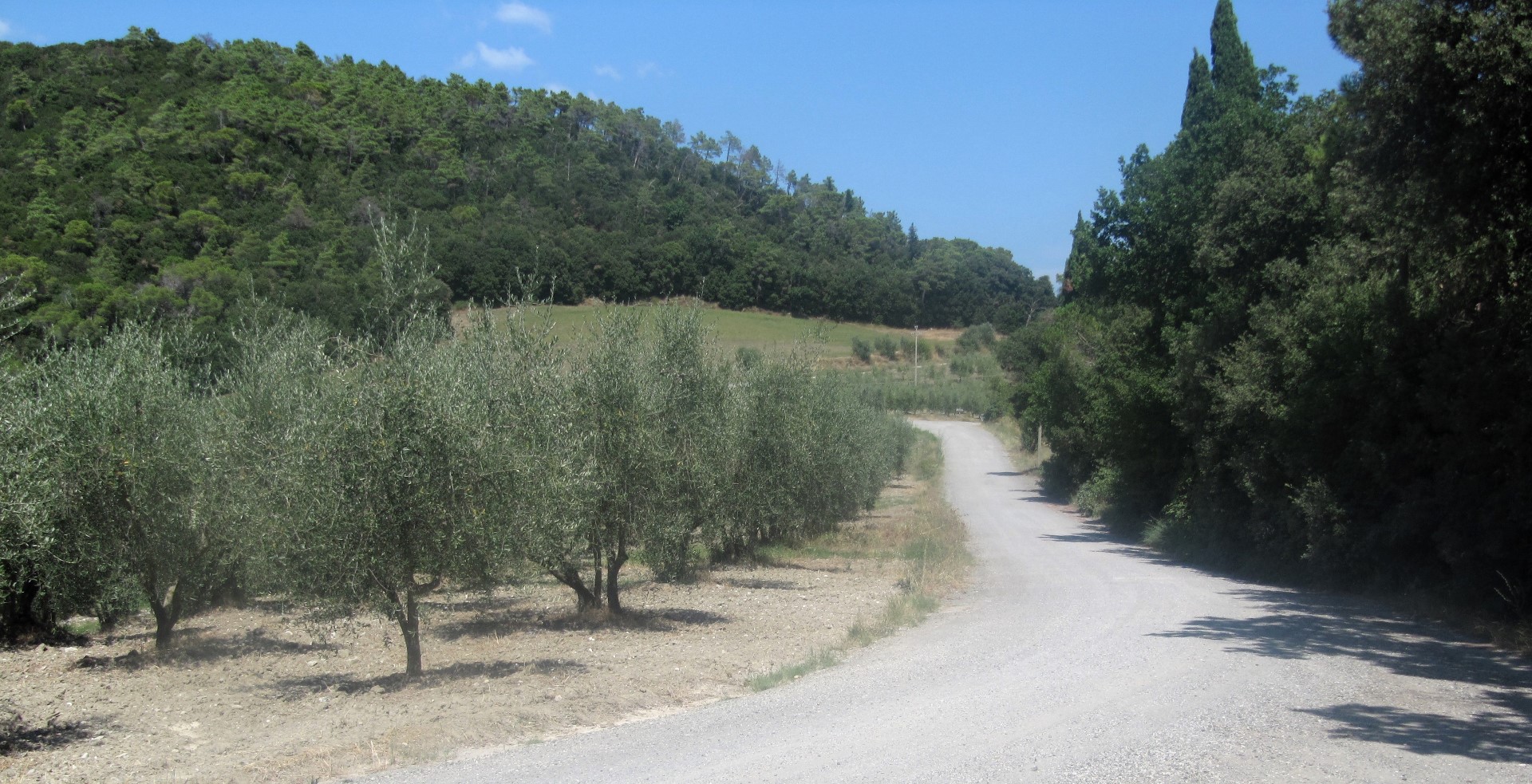 Strade Bianchi