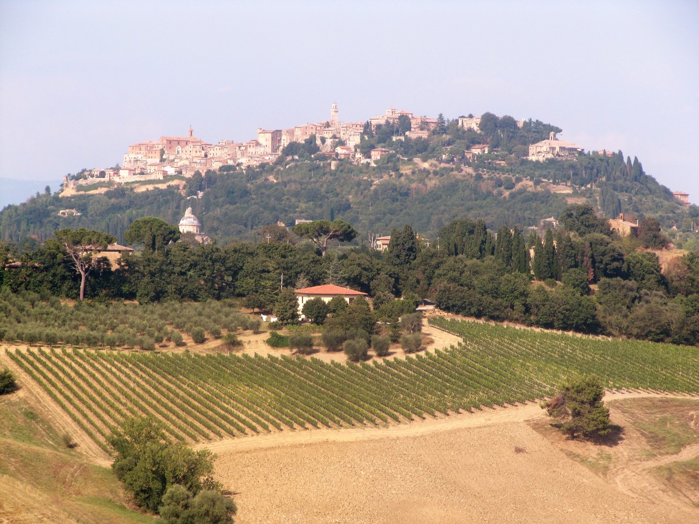 Montepulciano