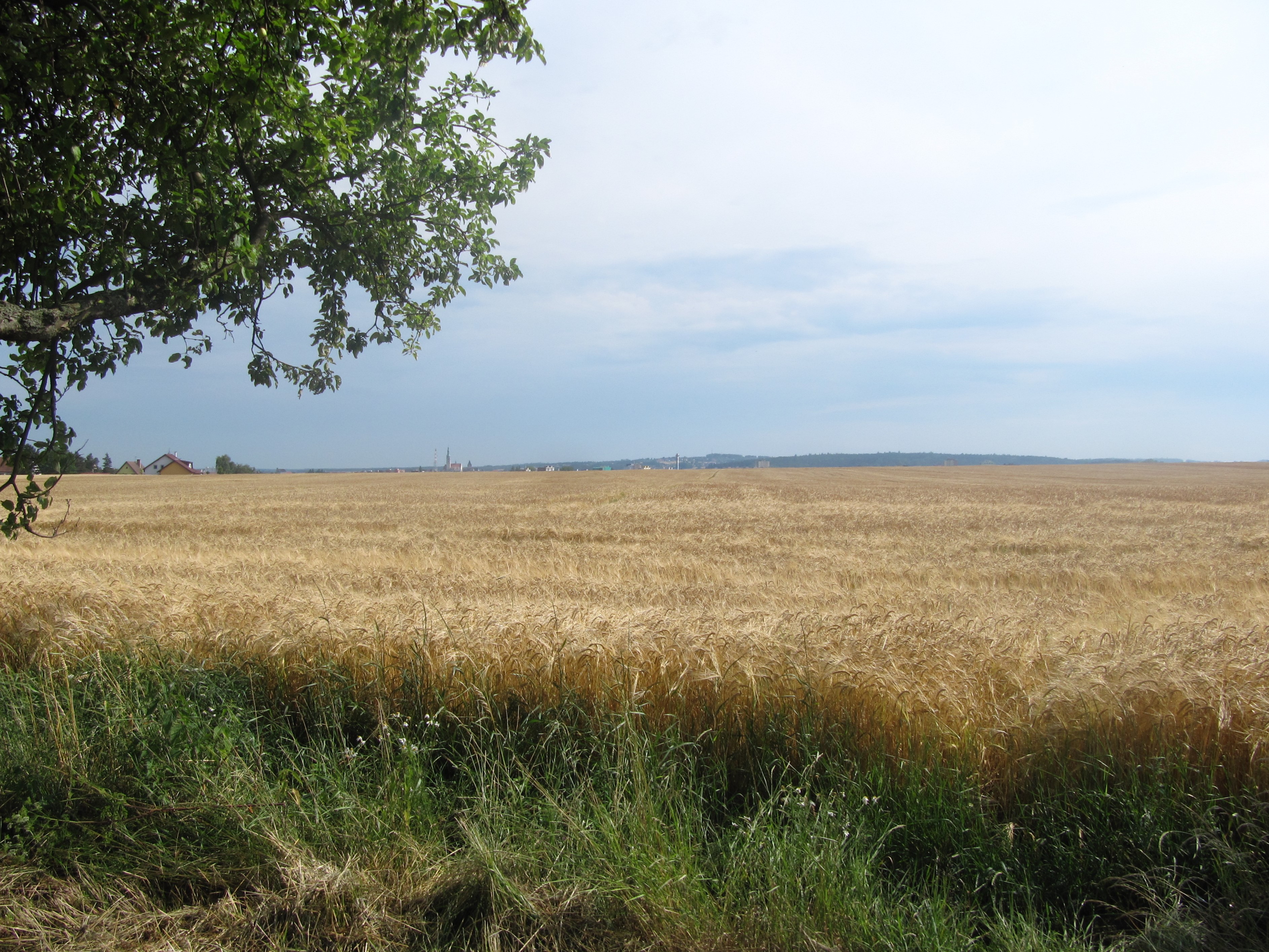 Tabor in de verte