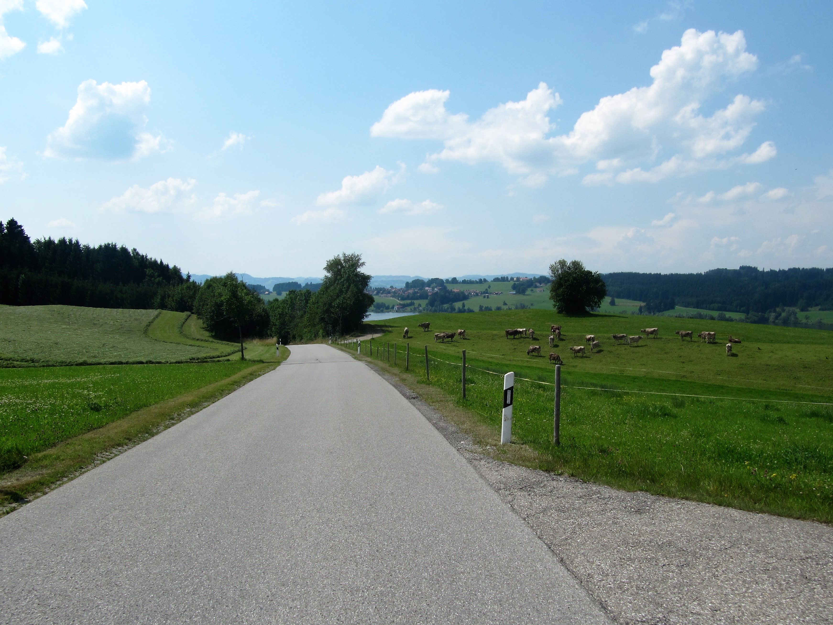 Op naar de Alpsee