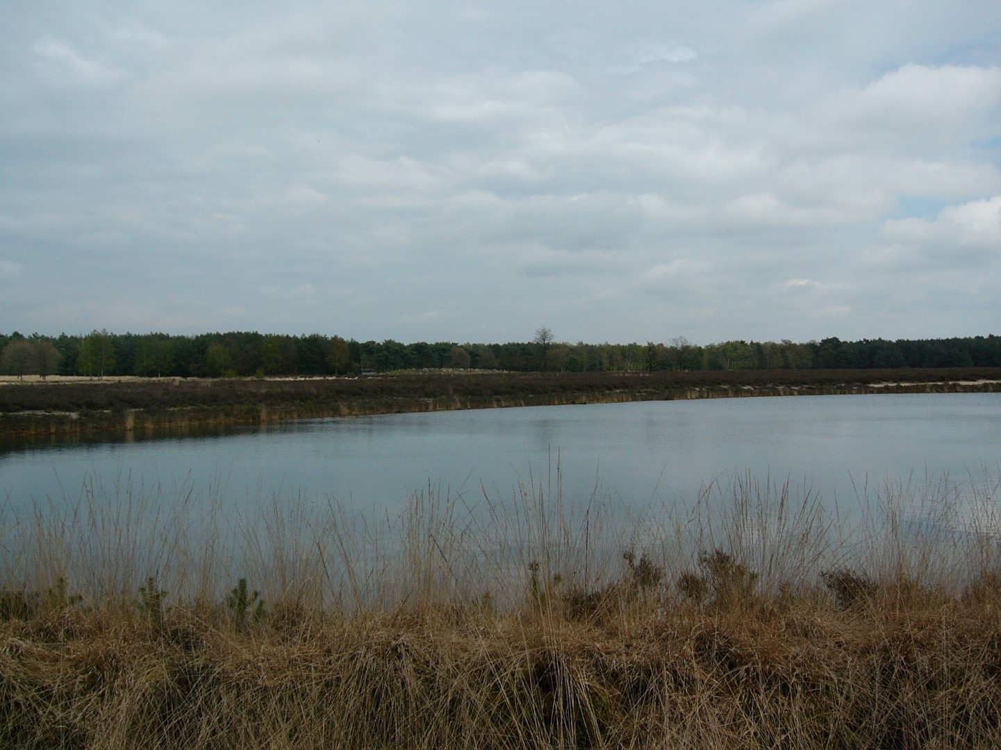 Stabrechtse heide