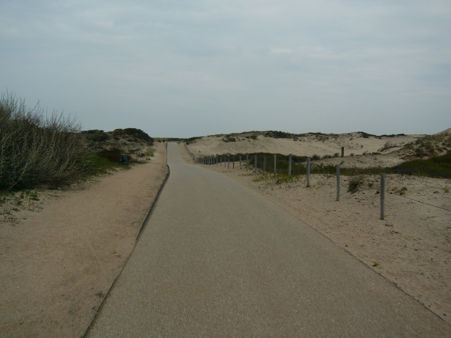 Duinen