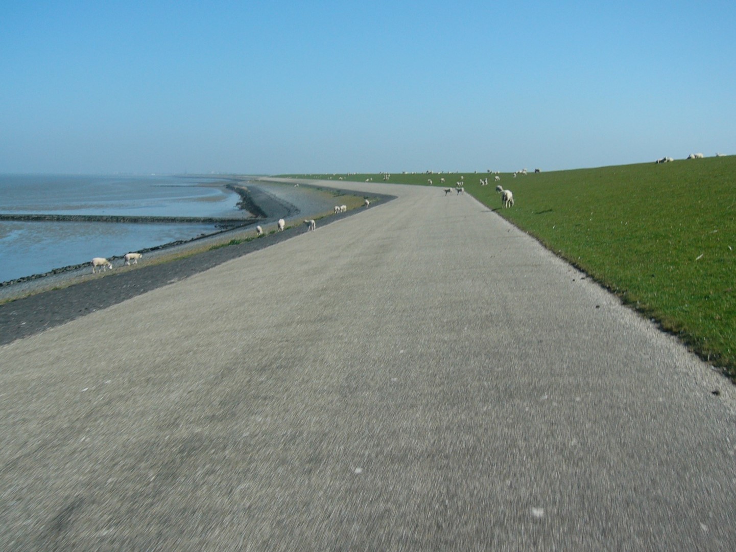 Dijk naar Harlingen