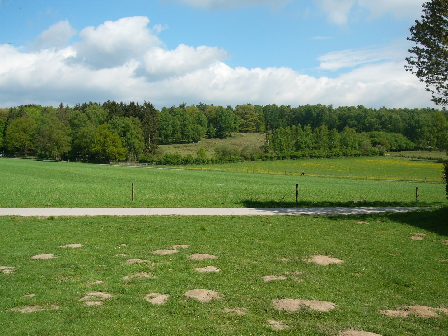 Veluwe